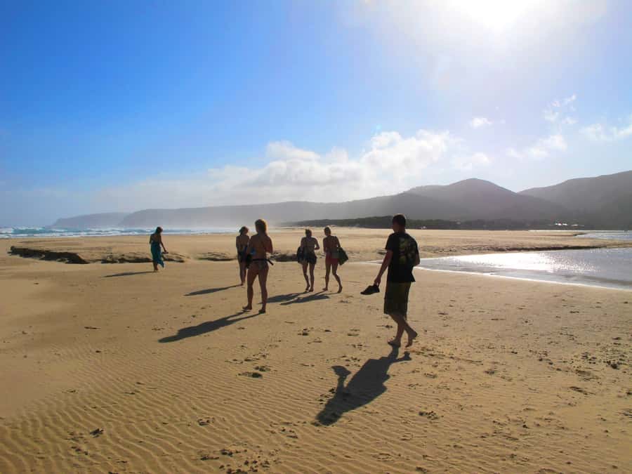 From Cape Town: 7-Day Garden Route, Addo and Winelands Combo - Final day back toward Cape Town: coastal return and a possible Botlierskop add-on