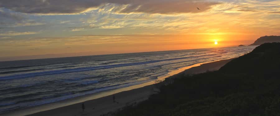 From Cape Town: 7-Day Garden Route, Addo and Winelands Combo - Route 62 to Oudtshoorn: Klein Karoo passes, ostriches, and the Cango Caves