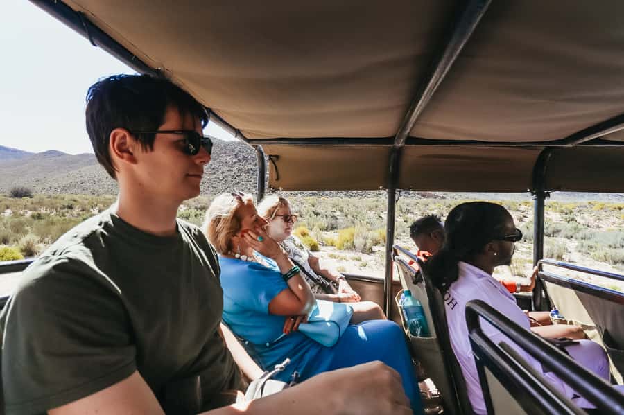 From Cape Town: Big Five Game Reserve with Lunch - Aquila Private Nature Reserve: the Big Five feel without the overnight fuss