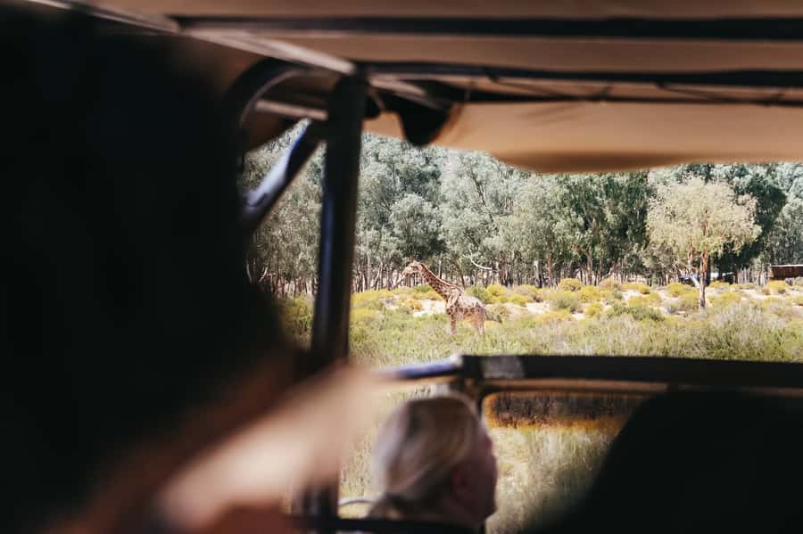 From Cape Town: Big Five Game Reserve with Lunch - Aquila arrival and the lodge lunch: where you reset before the safari