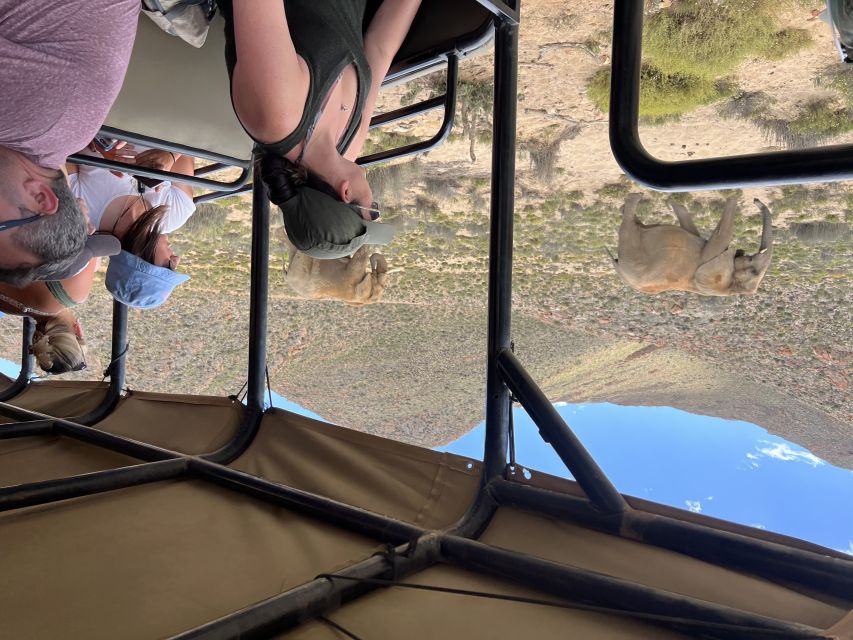 From Cape Town: Big Five Safari Experience with Lunch - Who This Safari Works Best For