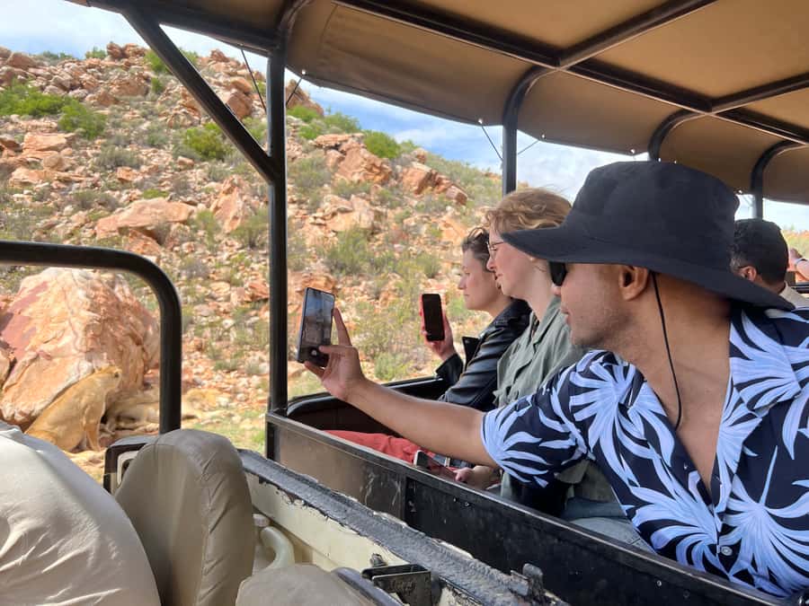 From Cape Town: Big Five Safari Experience with Lunch - Guide and Driver Impact: When the Day Feels Personal