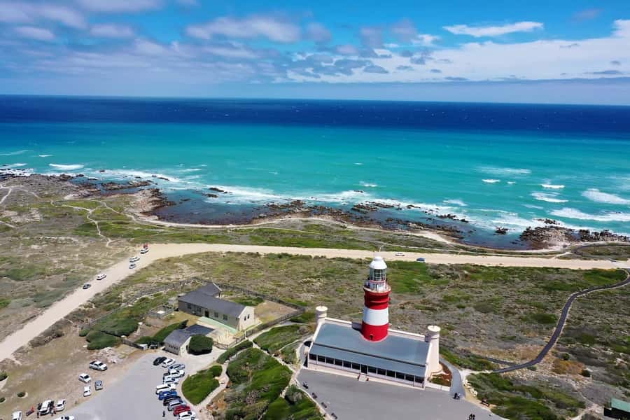 From Cape Town: Cape Agulhas, Penguins, Wine Tasting Tour - Price and value: is $214 per person worth it?