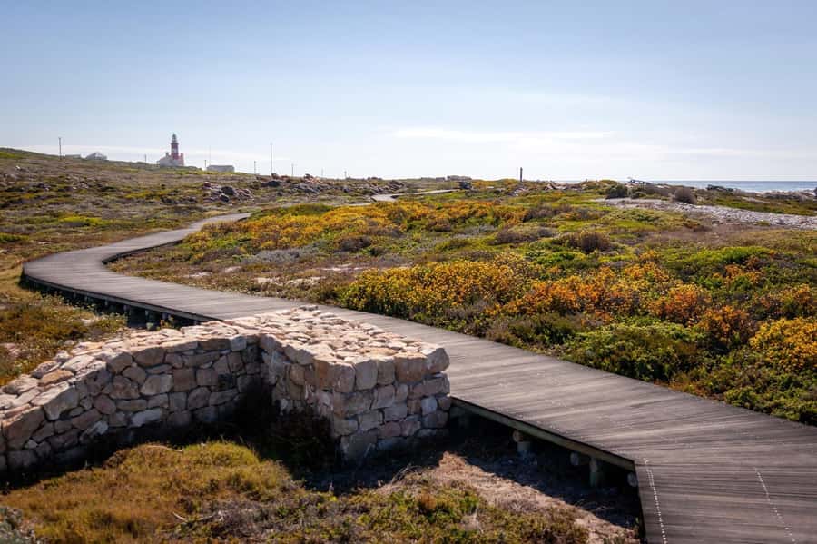 From Cape Town: Cape Agulhas, Penguins, Wine Tasting Tour - Hemel-en-Aarde wine tasting: a break that still feels like the journey