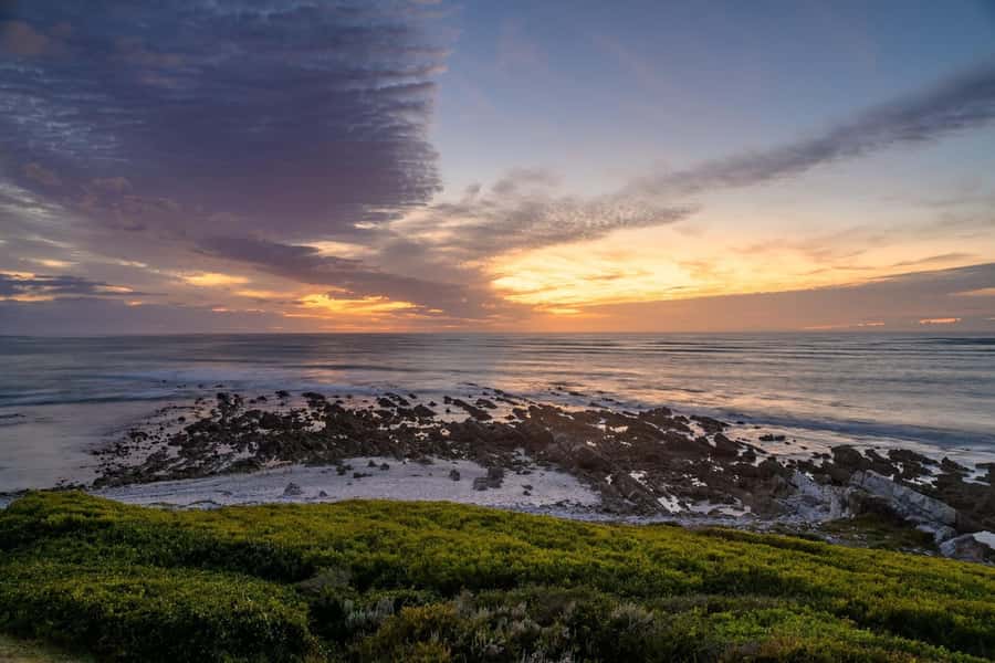 From Cape Town: Cape Agulhas, Penguins, Wine Tasting Tour - Agulhas lighthouse and Agulhas National Park walk