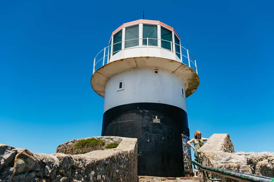 From Cape Town: Cape Peninsula & Boulders Penguin Beach Tour - The big picture: a 9-hour loop that hits the Cape “highlights”