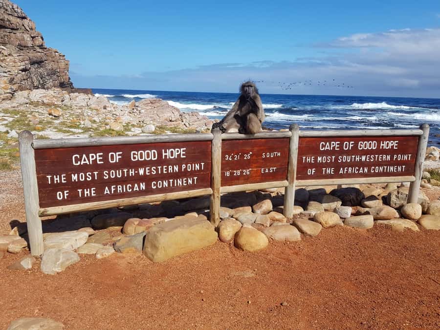 From Cape Town: Cape Point and Boulders Beach Full-Day Tour - Lunch, timing stress, and optional add-ons you should plan