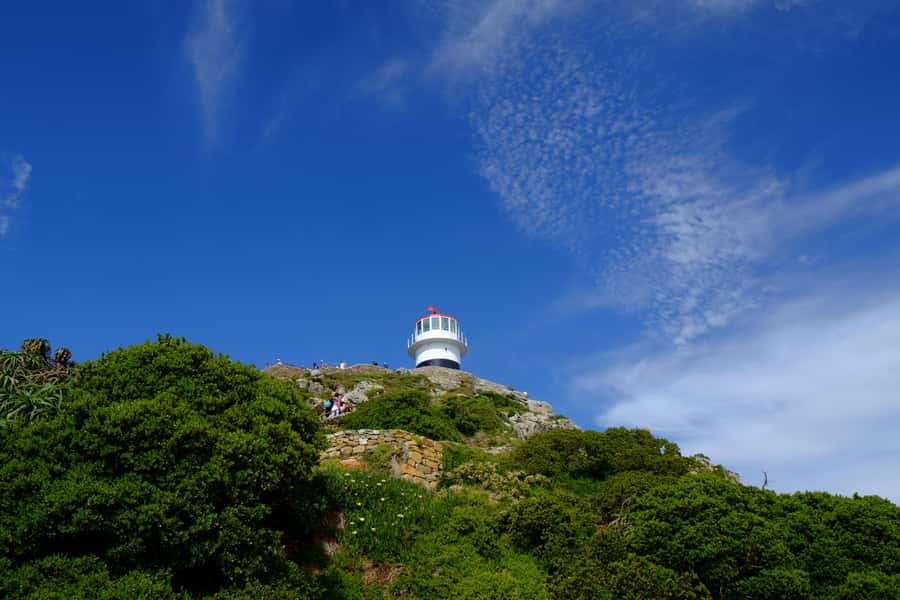 From Cape Town: Cape Point & Boulders Beach Full-Day Tour - Hout Bay Harbour: Seals Area and a Quick Reset Stop