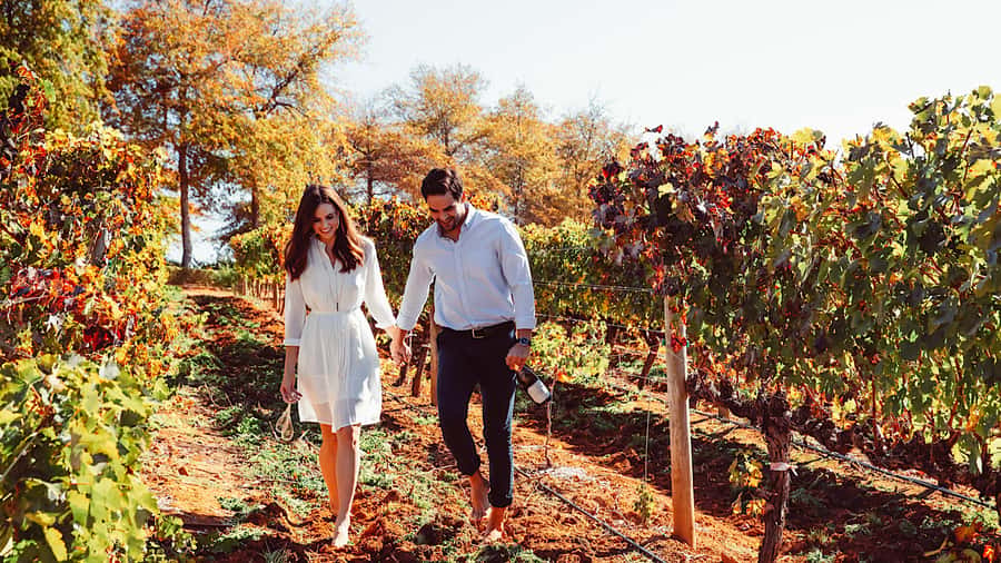 From Cape Town: Cape Winelands Full-Day Private Tour - Getting out of Cape Town, with comfort that actually matters