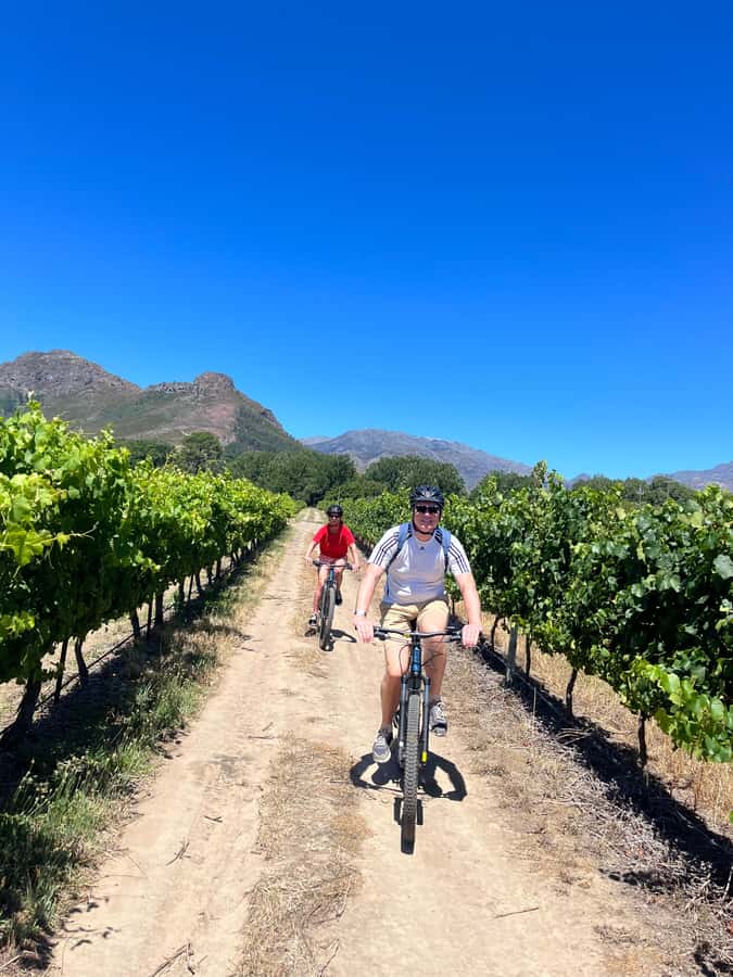 From Cape Town: Franschhoek Vineyards Bike Tour with Lunch - Why Franschhoek by bike feels like the real deal
