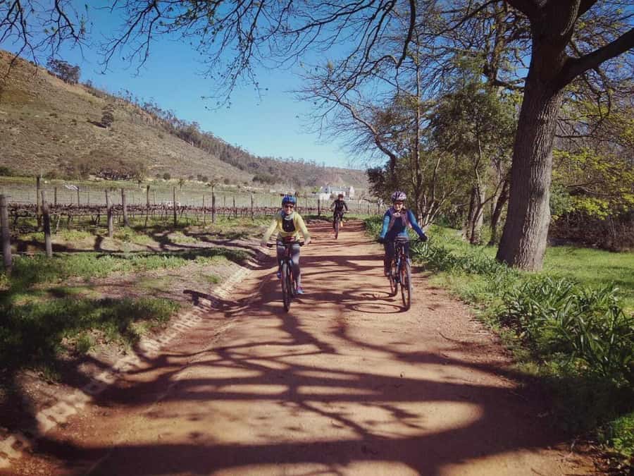 From Cape Town: Franschhoek Vineyards Bike Tour with Lunch - From Dutch Reformed Church orientation to rolling out of town