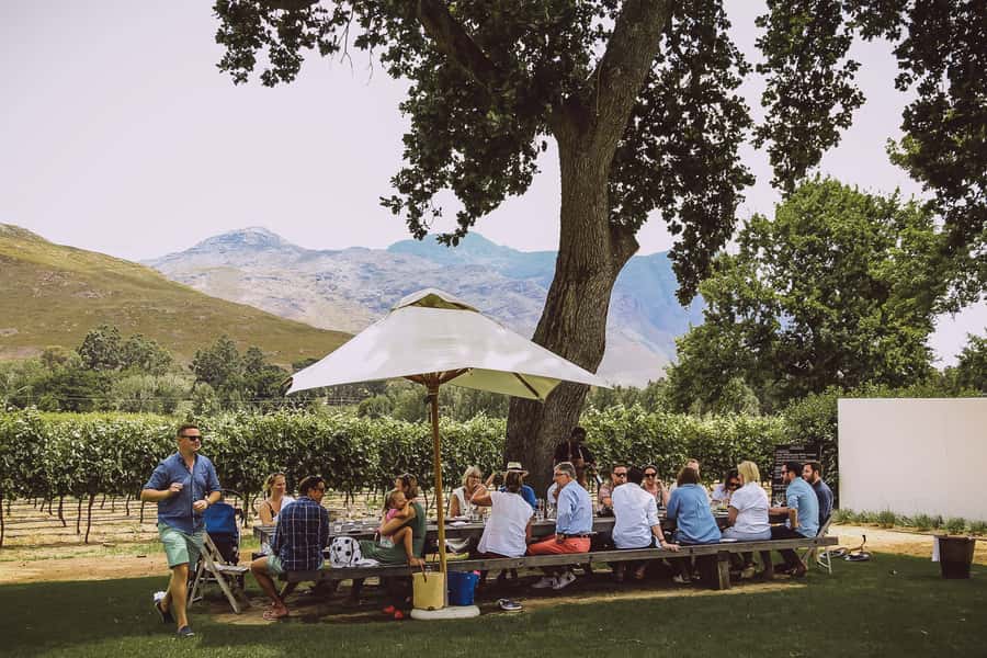 From Cape Town: Franschhoek Wine Tram Hop-on Hop-off - Food, Tastings, and the Budget Surprise Factor