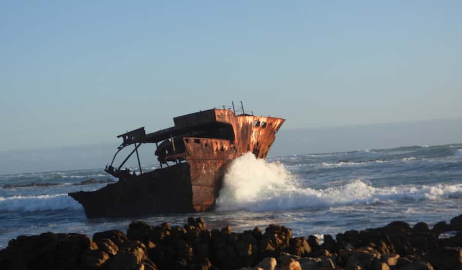From Cape Town: Full-Day Cape Agulhas Private Tour - Key Highlights You Should Not Miss