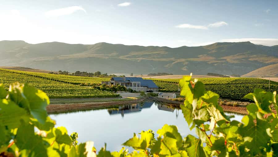 From Cape Town: Full-Day Cape Agulhas Private Tour - Lunch in Hermanus, Seafood Choices and a Backup Plan