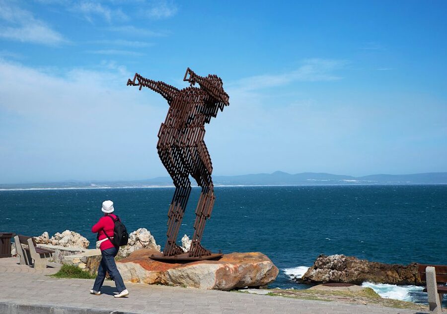 From Cape Town: Full-Day Cape Agulhas Private Tour - Cape Agulhas Two-Ocean Walk, Photos at the Official Tip