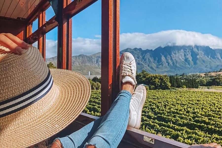 From Cape Town: Full-Day Cape Winelands Taste Tour + Tram - Key things I’d circle before you book