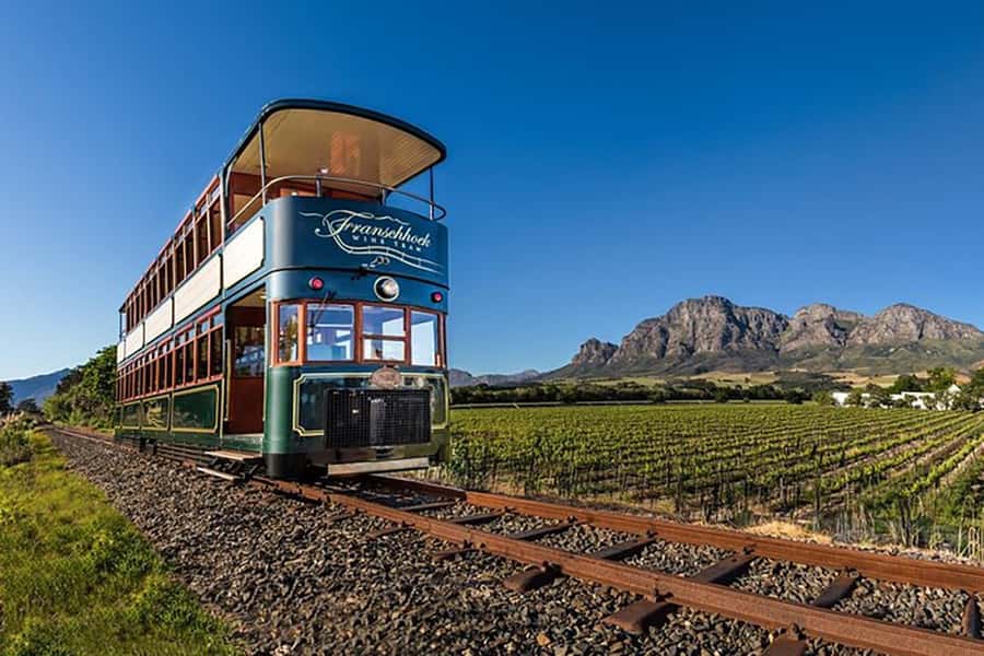 From Cape Town: Full-Day Cape Winelands Taste Tour + Tram - A 9-hour Winelands sampler from central Cape Town
