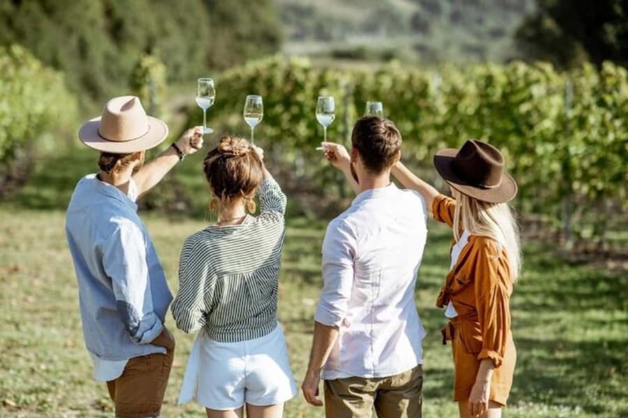 From Cape Town: Full-Day Cape Winelands Taste Tour + Tram - Paarl on the route: scenic vineyard time without the stress