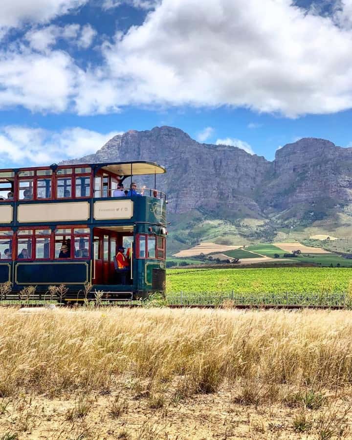 From Cape Town: Full-Day Cape Winelands Taste Tour + Tram - Franschhoek free time plus the Wine Tram ride