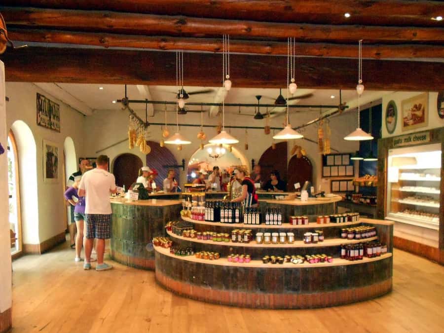 From Cape Town: Full-Day Cape Winelands Taste Tour + Tram - Who this tour fits best, and who should skip it