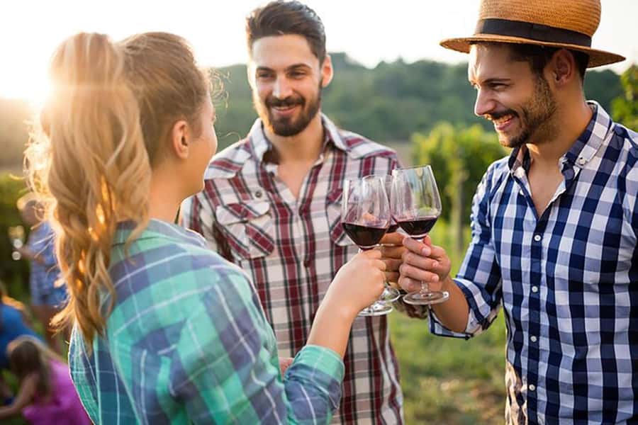 From Cape Town: Full-Day Cape Winelands Taste Tour + Tram - Stellenbosch first: Fairview cheese and wine tasting you can actually picture