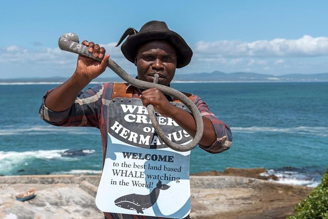From Cape Town: Full Day Guided Hermanus and Whale Tour - A 10-hour Hermanus day that starts with the coast