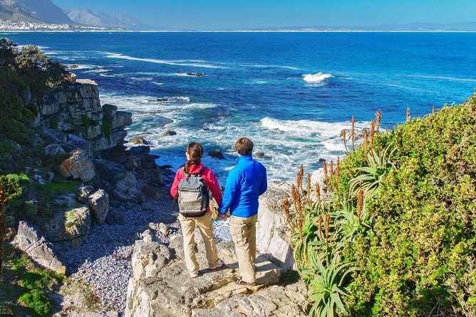 From Cape Town: Full Day Guided Hermanus and Whale Tour - Rotary Way: the quick coastline pause that sets the mood