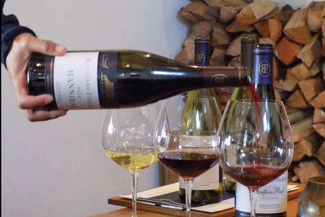From Cape Town: Full Day Guided Hermanus and Whale Tour - Wine Village Hermanus: the Hemel-en-Aarde taste test, minus the fuss