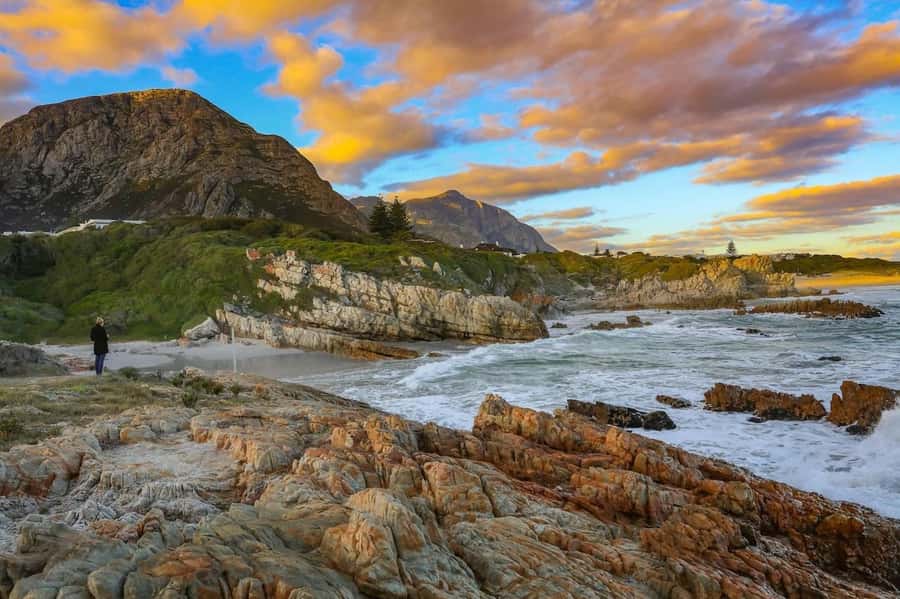 From Cape Town: Full-Day Hermanus Whale Watching Tour - Tips to Get the Best Day Possible
