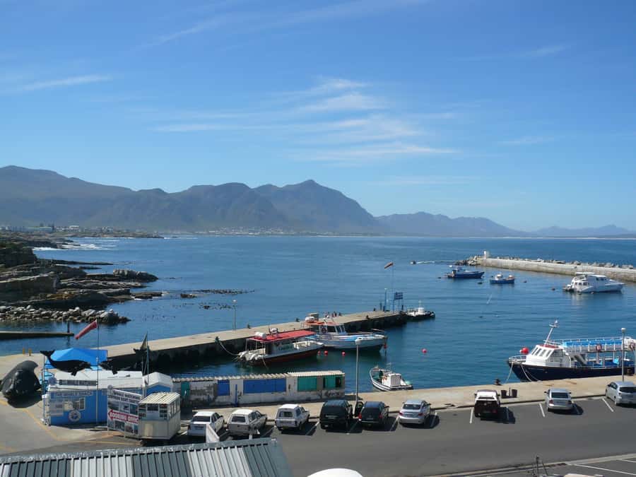 From Cape Town: Full Day Hermanus Whale Watching Tour - Should you book this Hermanus whale watching day?