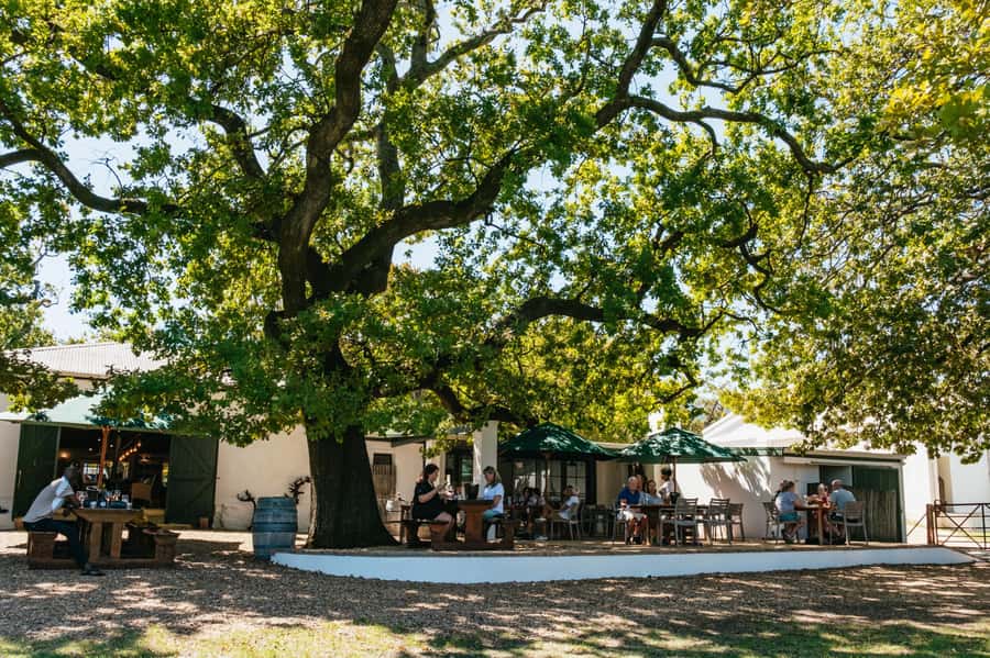 From Cape Town: Full Day Winelands Tour with wine tastings - Key points to know before you go
