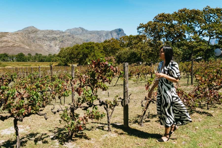 From Cape Town: Full Day Winelands Tour with wine tastings - Getting out of Cape Town, with vineyards on the horizon