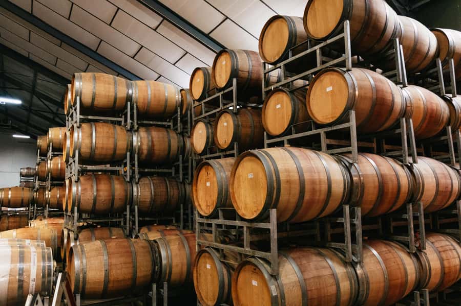 From Cape Town: Full Day Winelands Tour with wine tastings - Stellenbosch: historic streets, water furrows, and a short sightseeing window