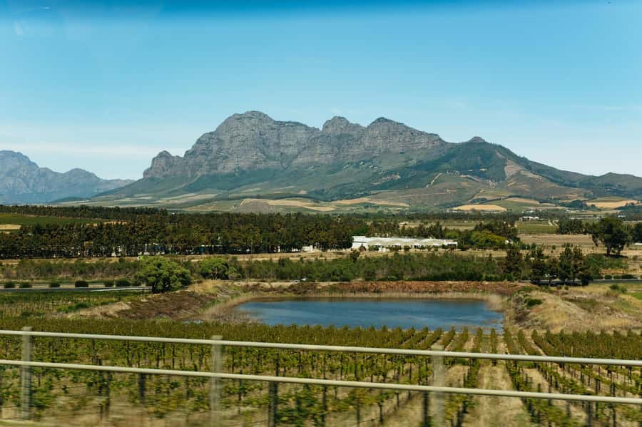 From Cape Town: Full Day Winelands Tour with wine tastings - Timing and pacing: why 8.5 hours can feel just right or a bit tight