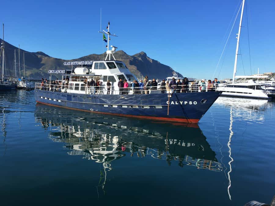 From Cape Town: Glass-Bottom Boat Seal Watching Tour - Past fortifications and under the Sentinal: the scenery that keeps paying off
