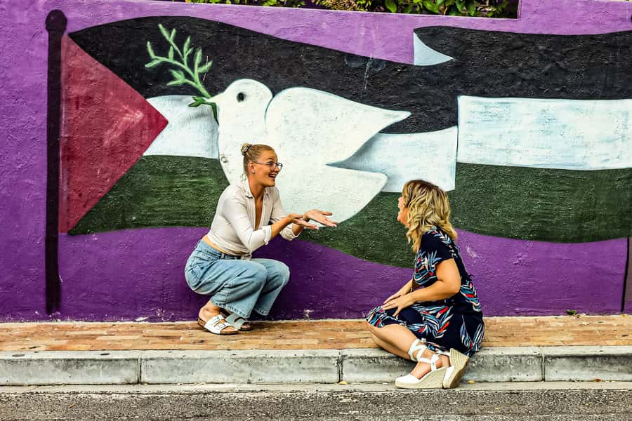 From Cape Town: Half-Day Boulders Beach and Penguins Tour - What the guides actually add (and why it shows up in the reviews)