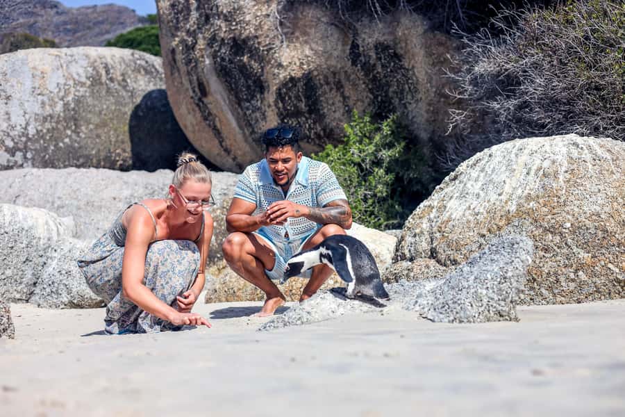 From Cape Town: Half-Day Boulders Beach and Penguins Tour - Pickup timing and how the morning flows