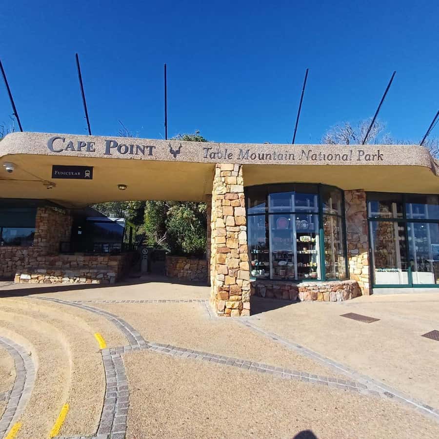 From Cape Town: Half Day Cape Point & Penguins Tour - From hotel pickup to a half-day rhythm that works