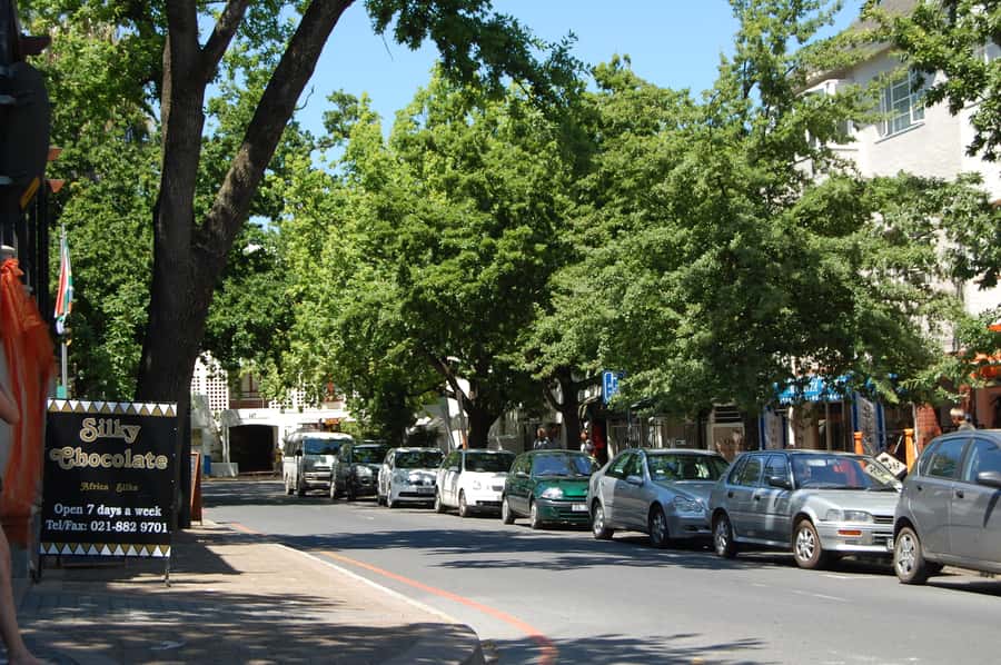 From Cape Town: Half Day Winelands Tour with winetasting - Timing and pickup in Cape Town: the part you should get right