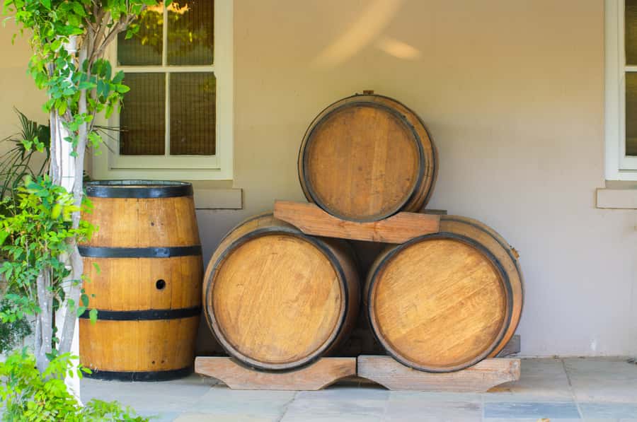 From Cape Town: Half Day Winelands Tour with winetasting - The drive from Cape Town: efficient, scenic, and not too rushed