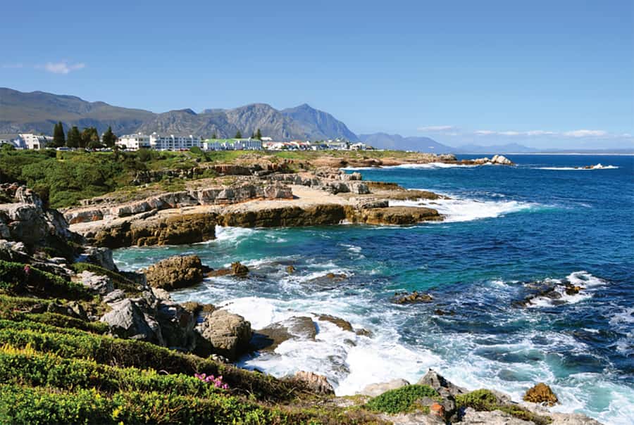 From Cape Town: Hermanus Whale Watching Full Day Tour - Key points to know before you go