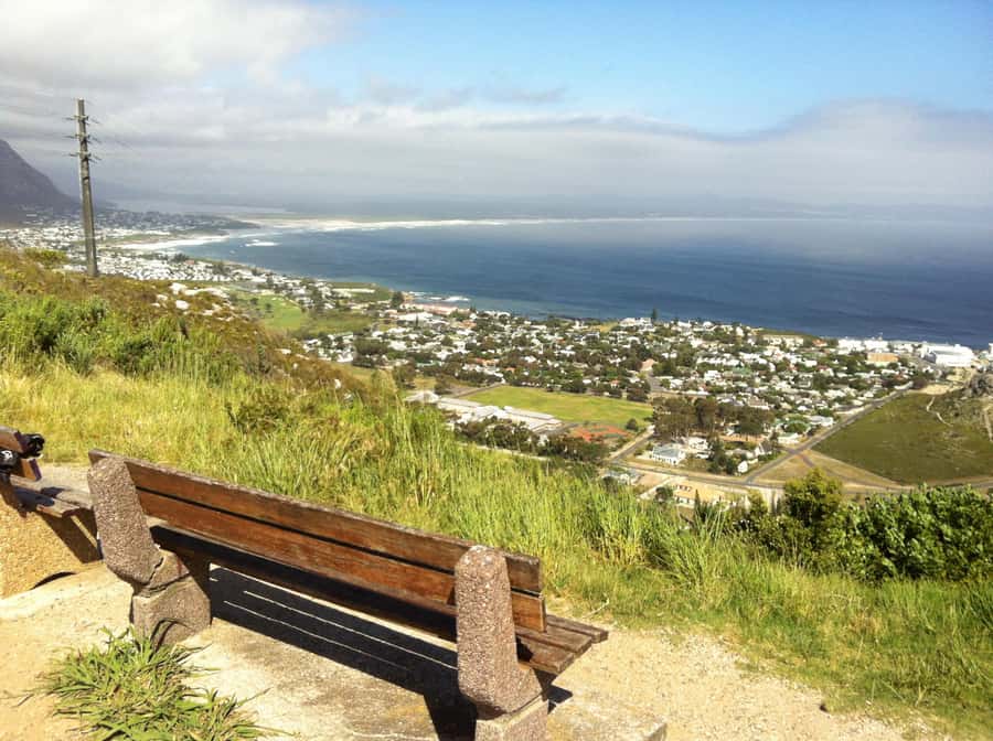 From Cape Town: Hermanus Whale Watching Full Day Tour - Optional boat whale cruise: how to plan it without surprises