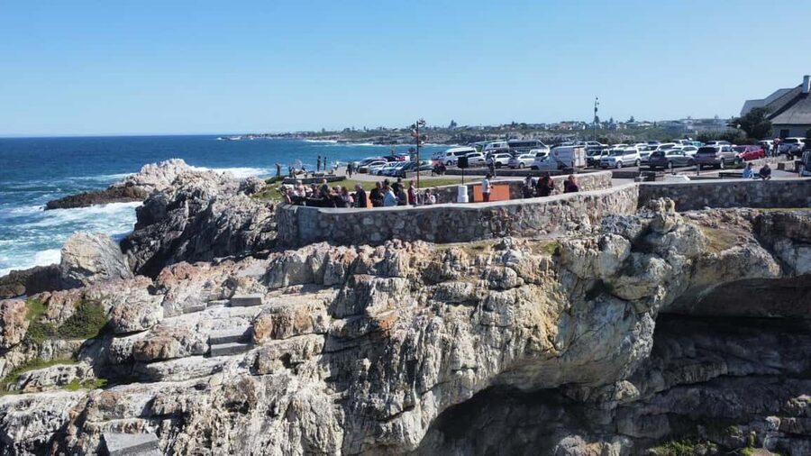 From Cape Town: Hermanus Whale Watching Tour with Boat Trip - The Hermanus Whale Walk: How to Turn a View Into Real Whale Watching