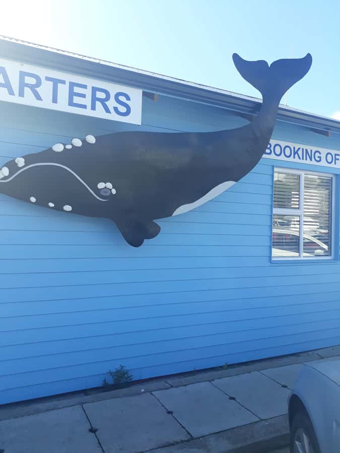 From Cape Town: Hermanus Whale Watching Tour with Transfer - The Scenic Transfer: Cape Town to Hermanus with real local texture