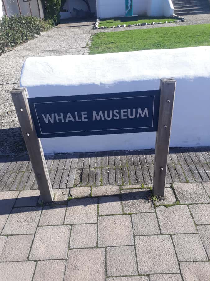 From Cape Town: Hermanus Whale Watching Tour with Transfer - Airport, Film Studio, and the Cape’s modern media side
