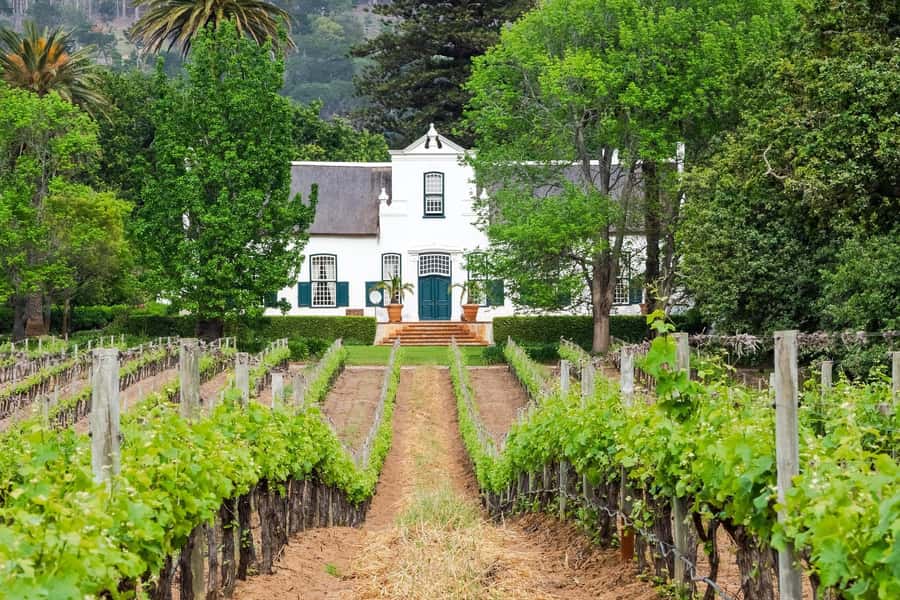 From Cape Town: Hermanus Whale Watching Tour with Transfer - Hermanus arrival: the small-town feeling before you step onto the boat