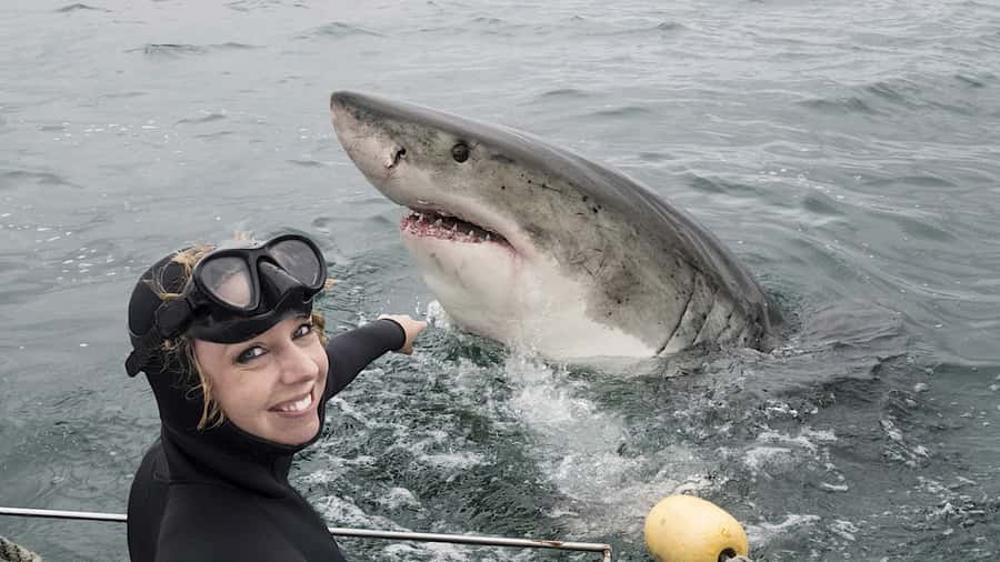 From Cape Town: Shark Cage Diving and Penguin Tour - Getting briefed and kitted up before the boat trip