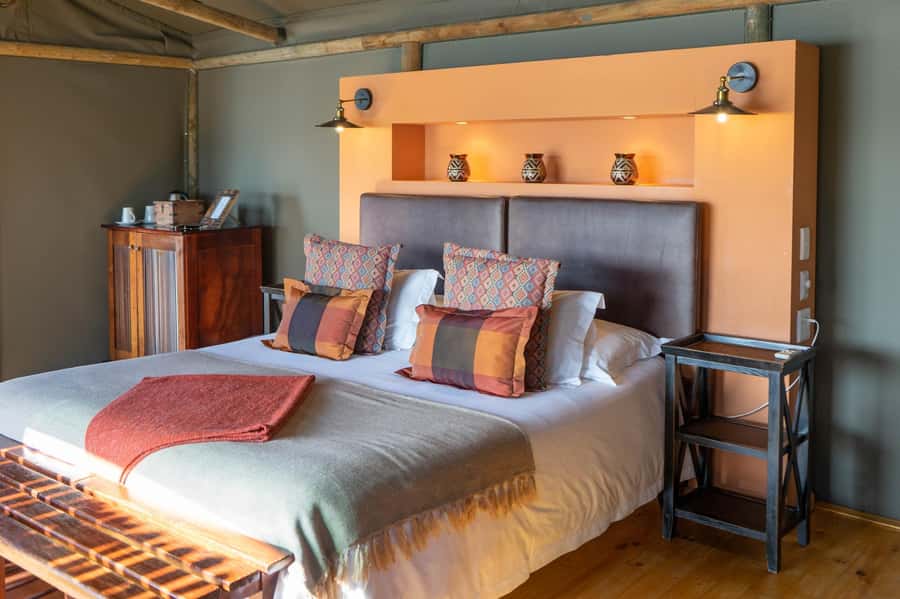 From Cape Town: South African Wildlife and Safari 2-Day Tour - Price and Value at About $322, What You Truly Get