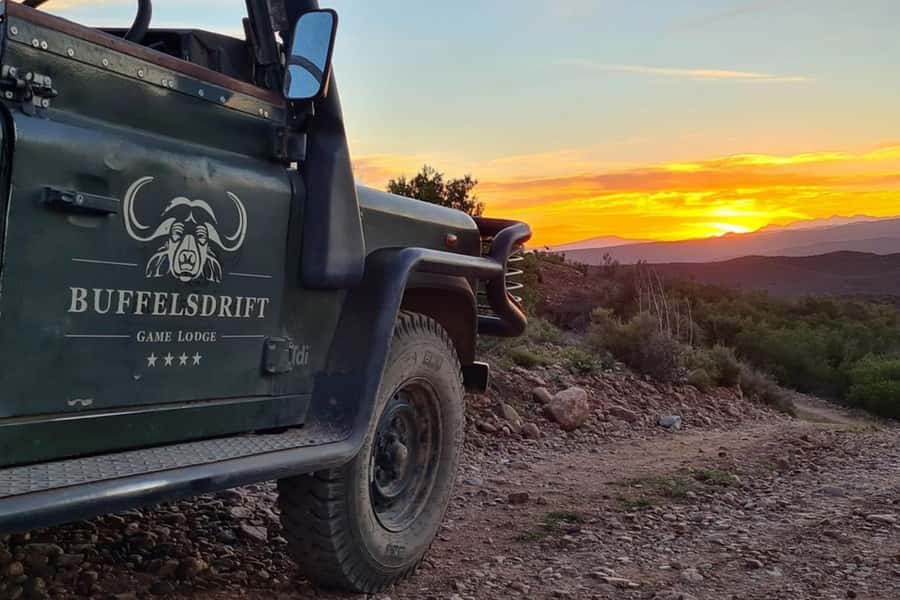 From Cape Town: South African Wildlife and Safari 2-Day Tour - Botlierskop Game Reserve 4x4 Drive, What You Can Actually Expect to See