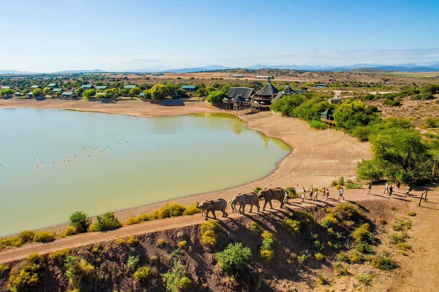 From Cape Town: South African Wildlife and Safari 2-Day Tour - Oudtshoorn at Dusk, The Ostrich Capital Break You Did Not Know You Needed